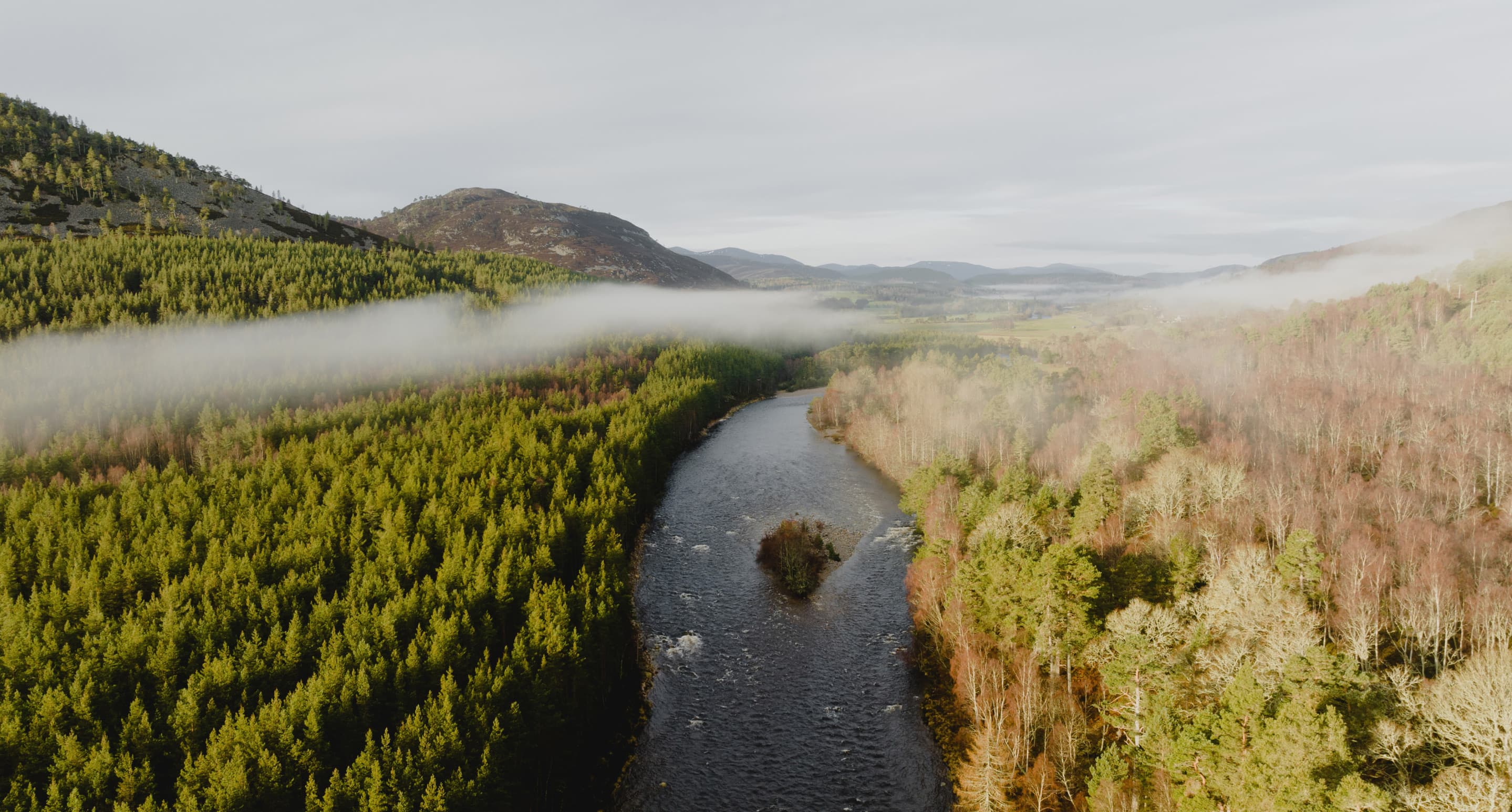 River and forest in a beautiful Scottish landscape