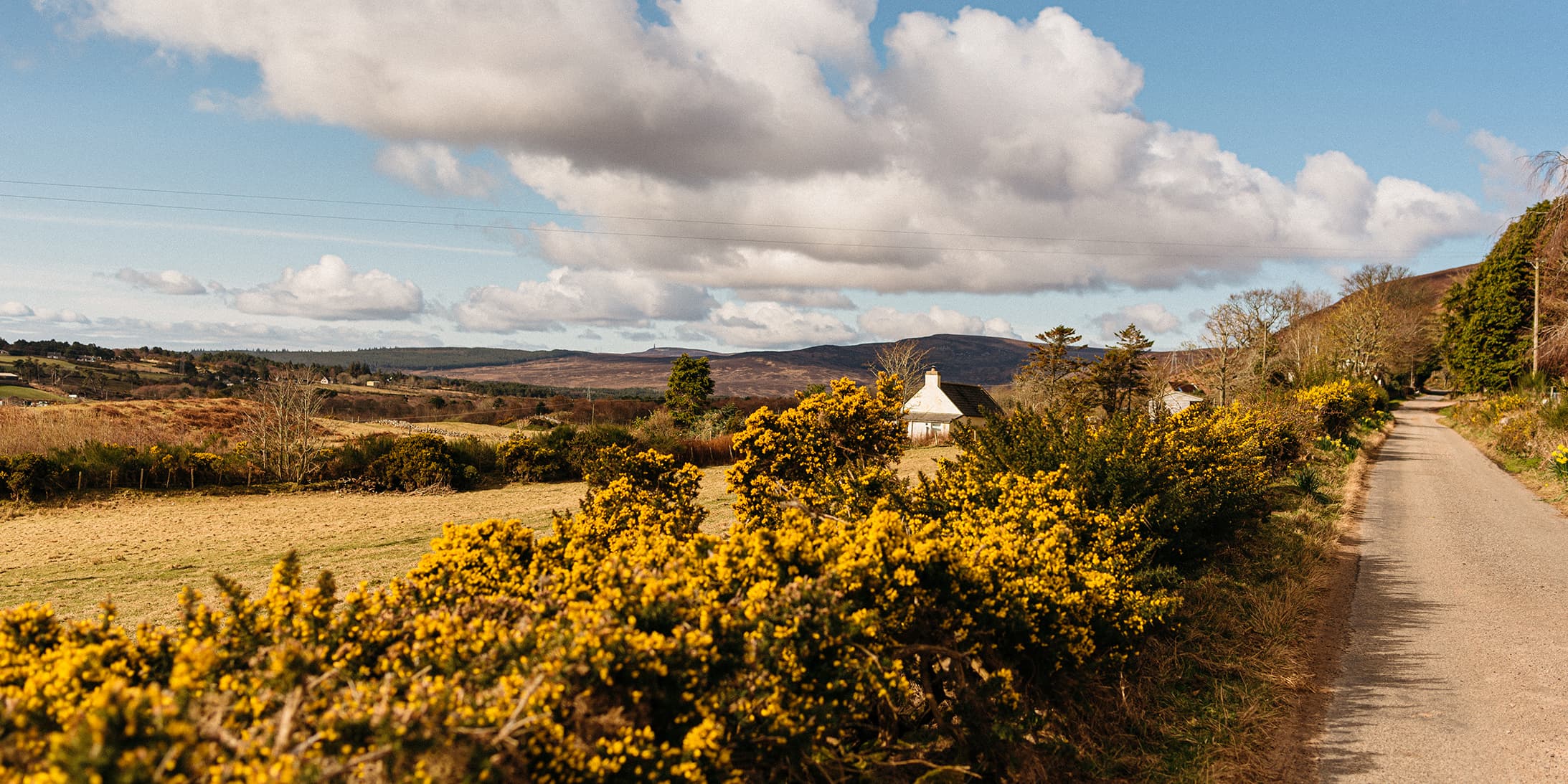 a rare Scottish Whisky Distillery from the outside