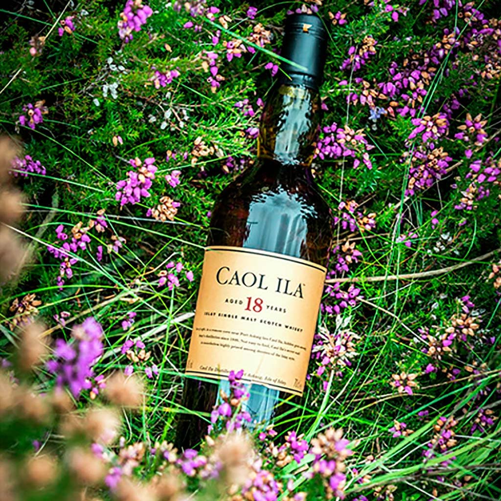DR&E Caol Ila 18 Year Old Detail Two